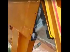 TIR’ın dorsesindeki gizli bölmelerden çıktı