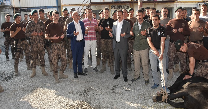 Hakkari'de şehitler için kurban kesildi