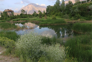 Hakkarililerden belediyeye Sülük Gölü için çağrı