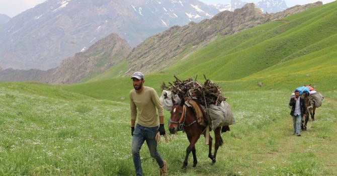 Hava ısındı Hakkari'de yaylalara göç başladı