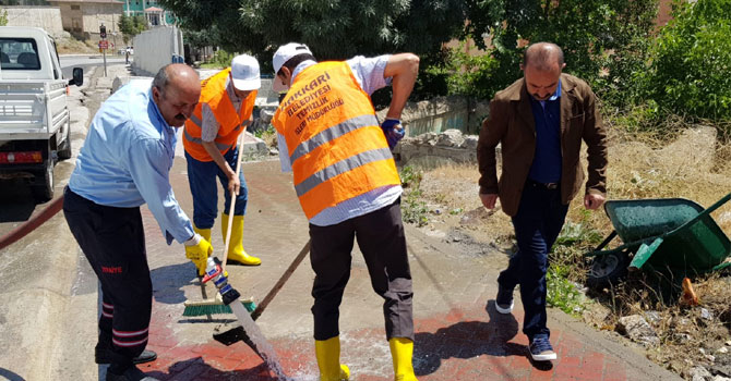 Eş Başkan Karaman, çalışmalara katıldı