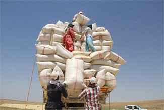 Samancıların yükü ağır