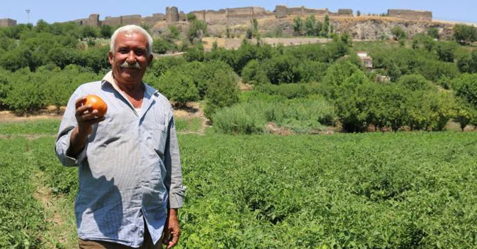 Hevsel Bahçeleri çiftçileri pazar yeri arıyor