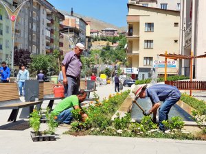 Hakkari'de peyzaj çalışmaları devam ediyor!