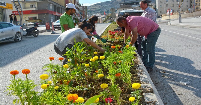 Hakkari belediye meclis üyeleri caddeleri renklendirdi!