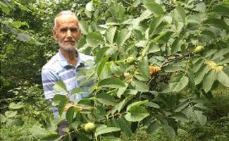 Camide öz kardeşini öldürdü