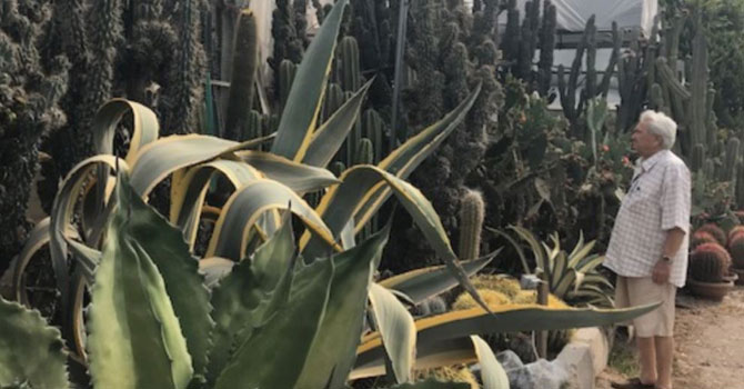 Hayatını kaktüslere adayan ziraatçı