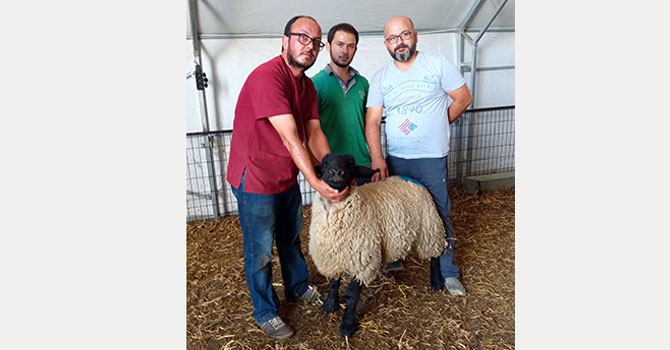 Bu koç 5 bin avroya satıldı