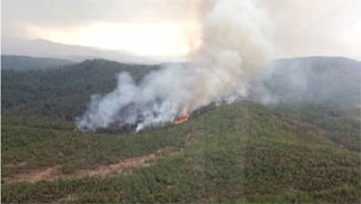 Köyceğiz’deki yangın kontrol altına alındı