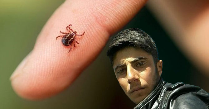 Şemdinli'de kene ısırmasından 1 kişi öldü