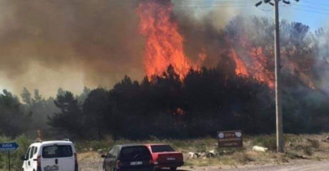 Ayvalık'taki orman yangını tatilcileri korkuttu