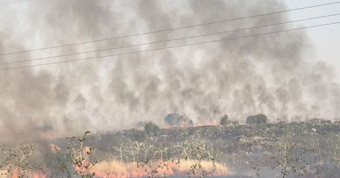 Süryanilerin üzüm bağlarında yangın