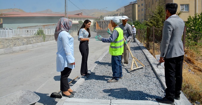 Eş Başkan Armut, kaldırım çalışmalarını denetledi