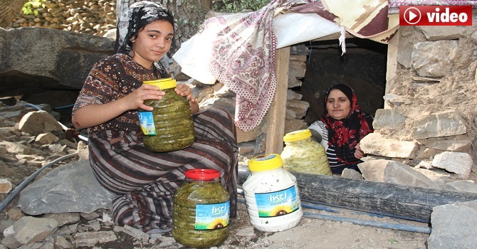 Hakkari'deki mağaralar 'doğal buzdolabı'