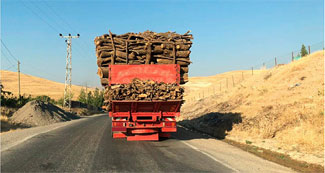 Yük dolu kamyonun tehlikeli yolculuğu
