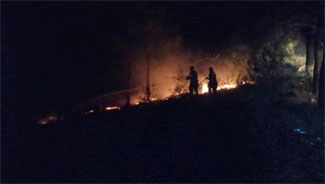 Havai fişekten orman yangını çıktı