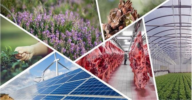 Kırsal kalkınma proje başvuruları başladı