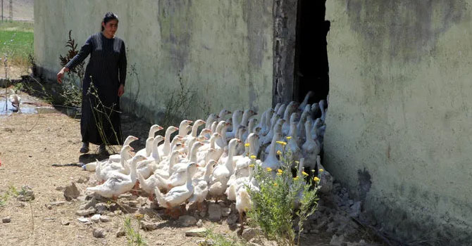 Yüksekovalı 17 yaşındaki genç kızın büyük başarısı!