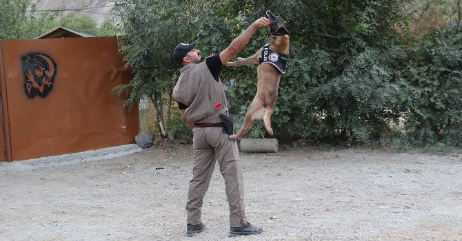"Cadı, Pars ve Tipi", Hakkari'de uyuşturucuya geçit vermiyor