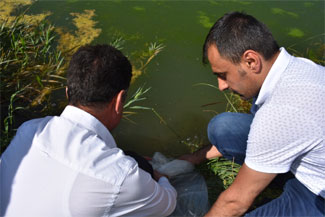 Hakkari'de baraj ve göletlere balık bırakıldı