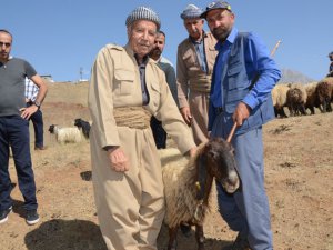 Hakkari’de bayram pazarı kuruldu!