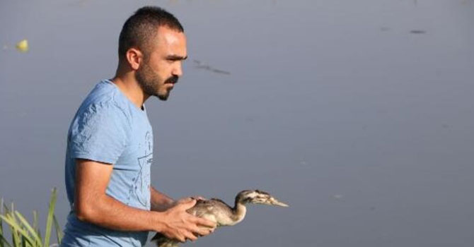 Hakkari'de yaralı balıkçıl, tedavi sonrası doğaya bırakıldı