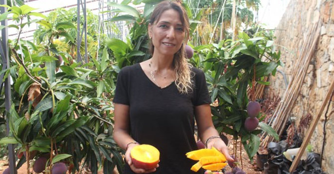 Türkiye'de ilk defa üretildi! Tanesi 35 lira