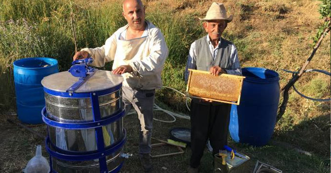 Hakkari’de bal sağımı başladı