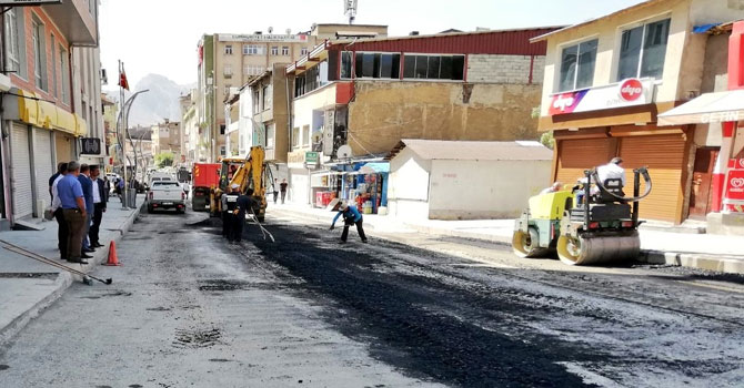 Eş Başkan Karaman çalışmaları denetledi