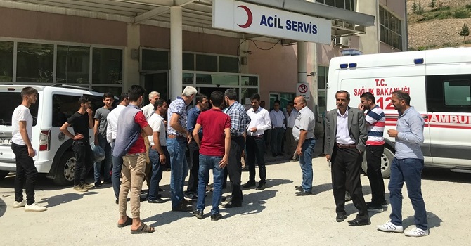 Şemdinli’de 13 yaşındaki çocuğu yılan ısırdı