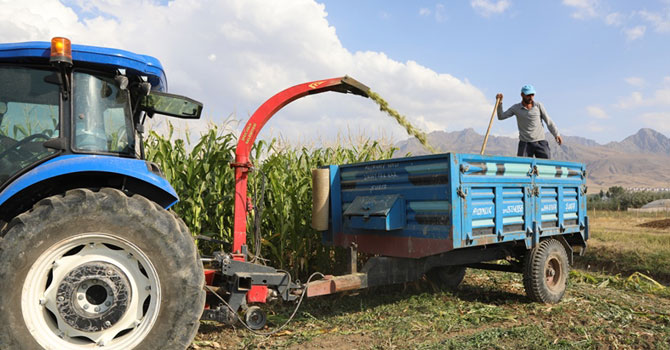 Şimdi hasat zamanı!
