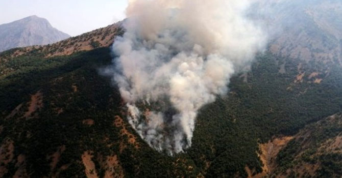 Akkaya köyünde orman yangını çıktı