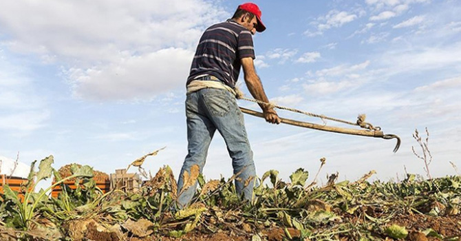 2019 yılı tarımsal destekleme tutarları belli oldu