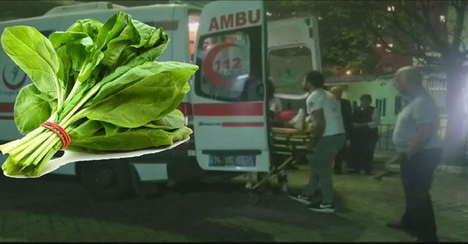 İstanbul'da ıspanaktan zehirlenme vakaları devam ediyor