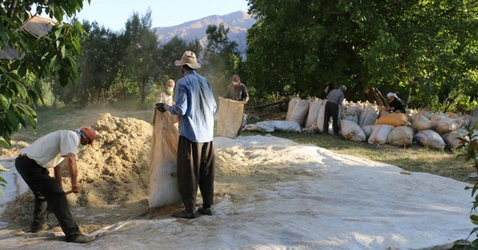 Hakkarililer kış için son hazırlıklarını yapıyor