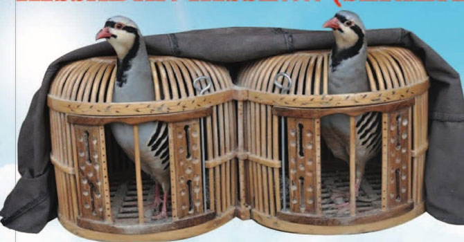 Kıssadan hisse...! (Serhati)