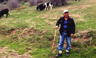 Eski mahalle muhtarı dağda ölü bulundu