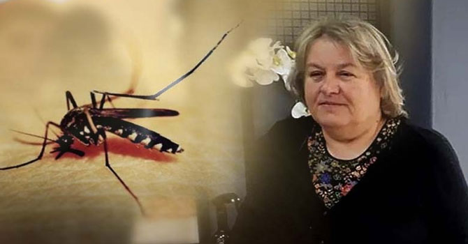 Sivrisinek can aldı