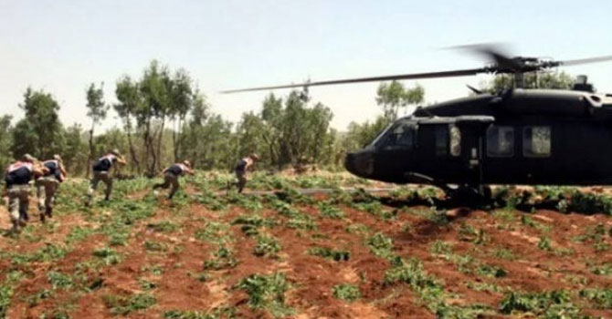 Polis aracında 120 kg esrar yakalandı