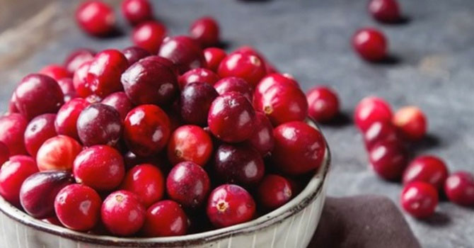 Kekreyemiş meyvesi yağları eritiyor!