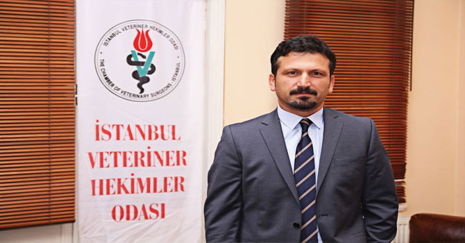 "Türkiye Neden Sudan'dan at, eşek, katır eti ithal ediyor?"
