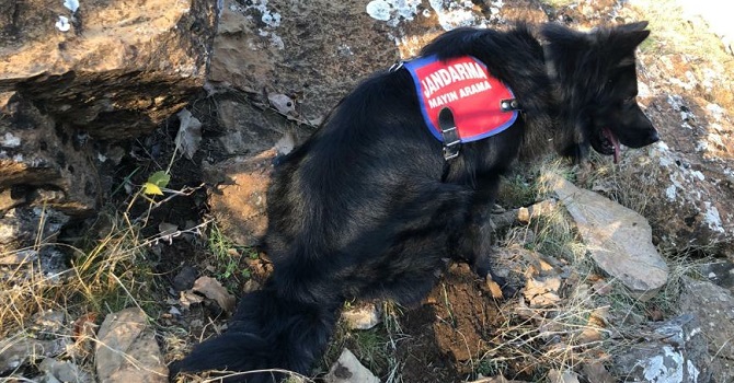 Çukurca’da mühimmat ele geçirildi