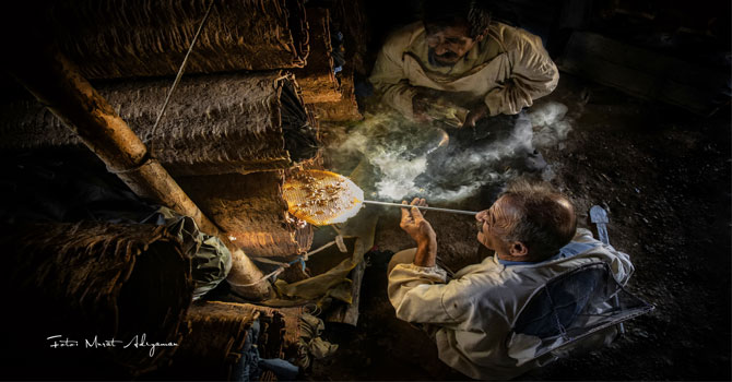 Hakkâri Karakovan Bal Fotoğrafına 2. lik Ödülü