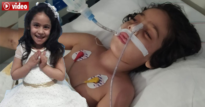 Hakkari'de Özel kreşte büyük ihmal iddiası!