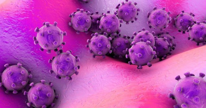 Çin'de ortaya çıkan yeni virüs '1700 kişiye bulaşmış olabilir'