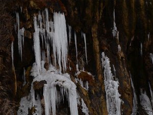 Şırnak’ta şelaleler dondu