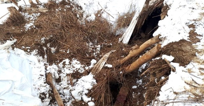 Kardan dolayı ahır çöktü, 4 hayvan telef oldu