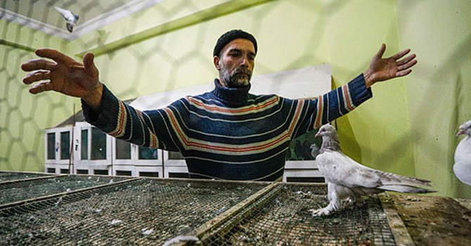 Araba fiyatına satılıyorlar