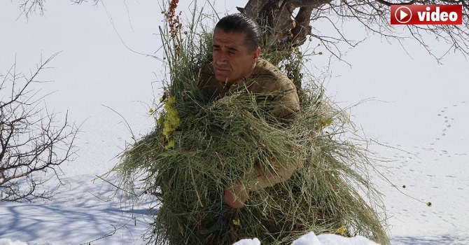 Hakkarili Aydın Aydın'dan 'Korona var öpme' şarkısına klip