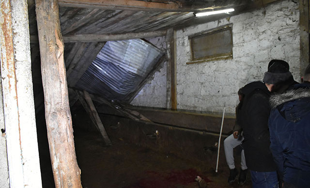 Ahırın çatısı çöktü: 2 büyükbaş hayvan telef oldu